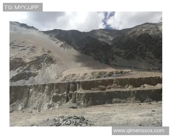 深度对话：探索杨强在英雄联盟中的成长与挑战之路